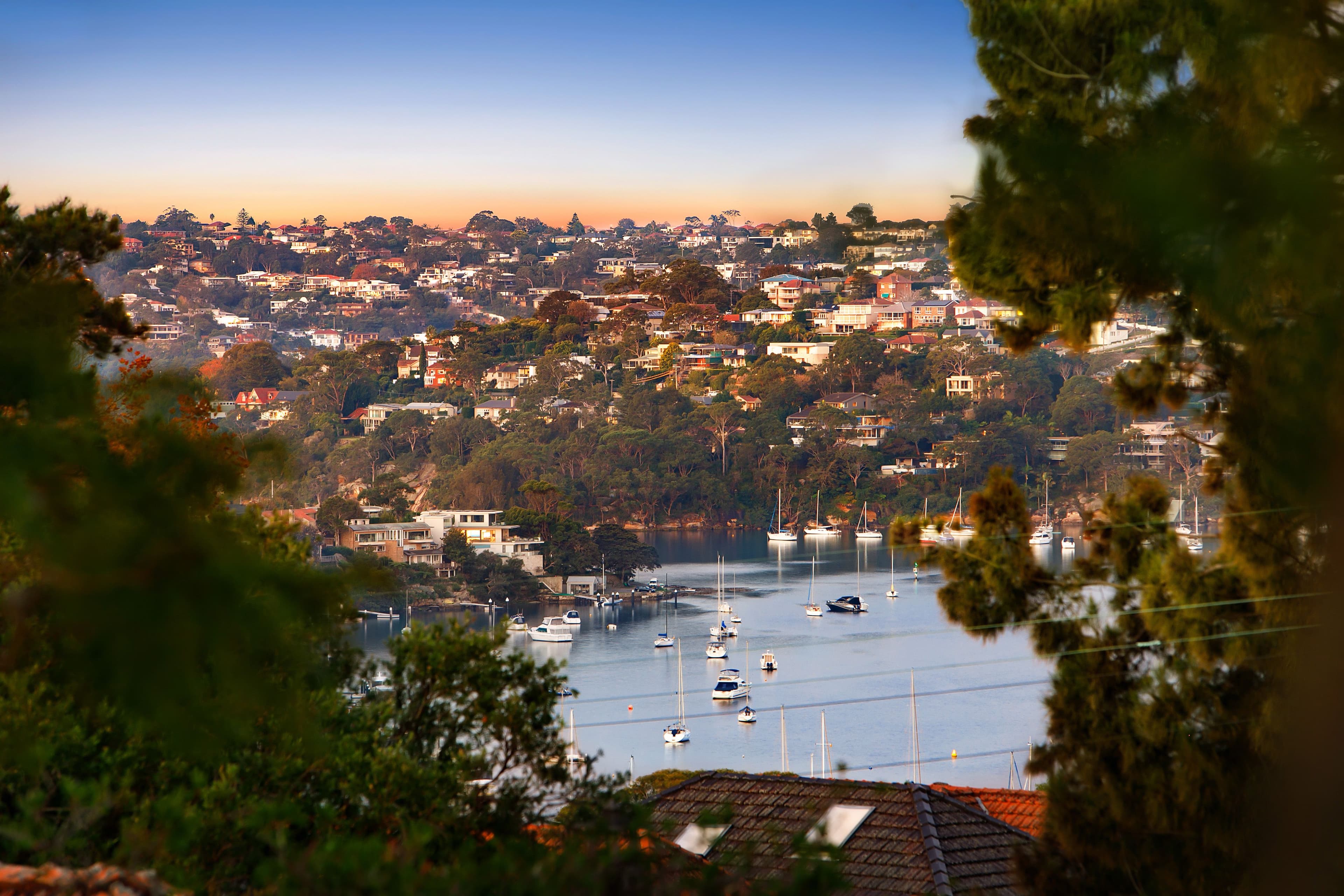 20 Carter Street, Cammeray NSW 2062, Cammeray - Thumbnail 4