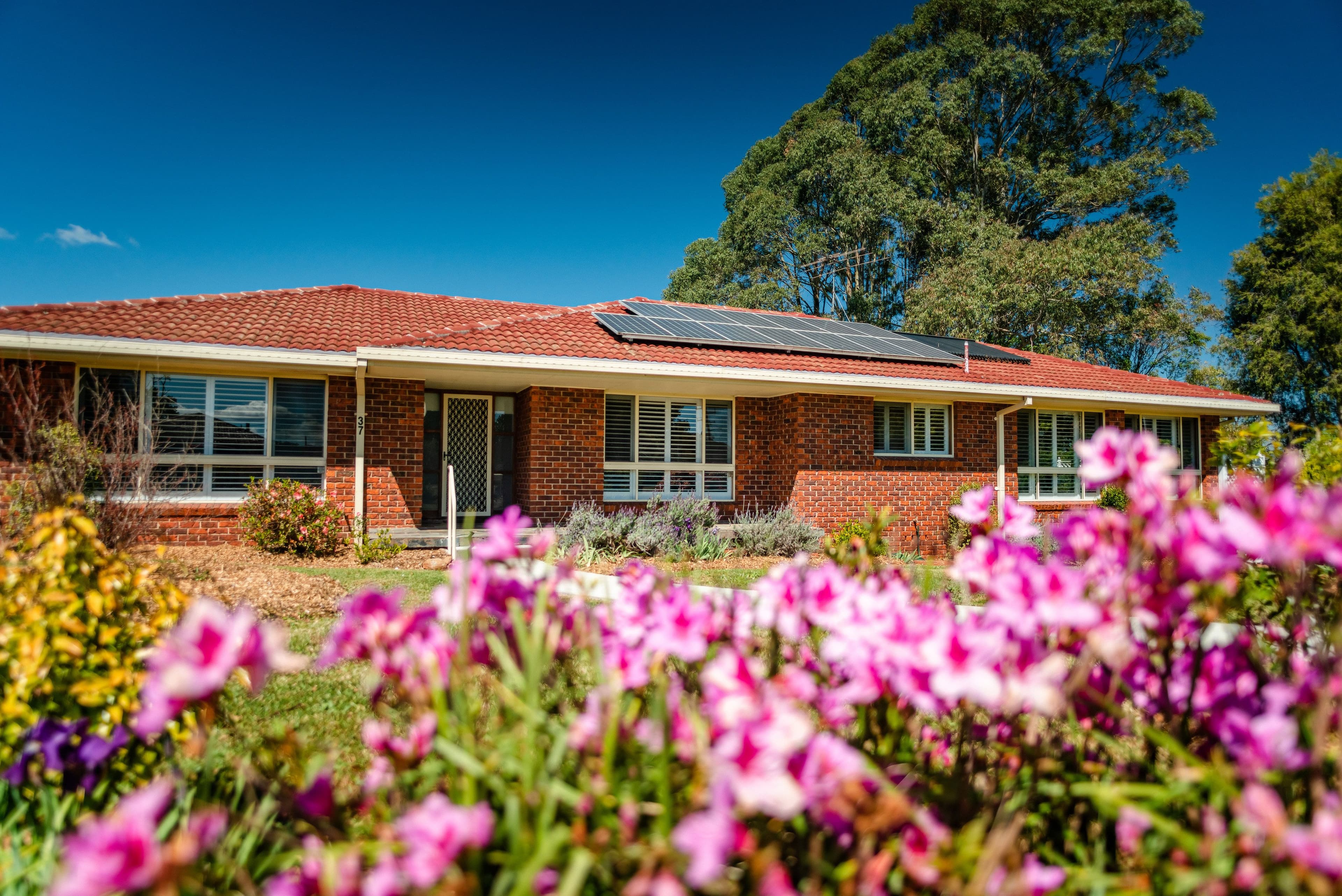 37 Kurrajong Street, Dorrigo NSW 2453, Dorrigo - Image 1