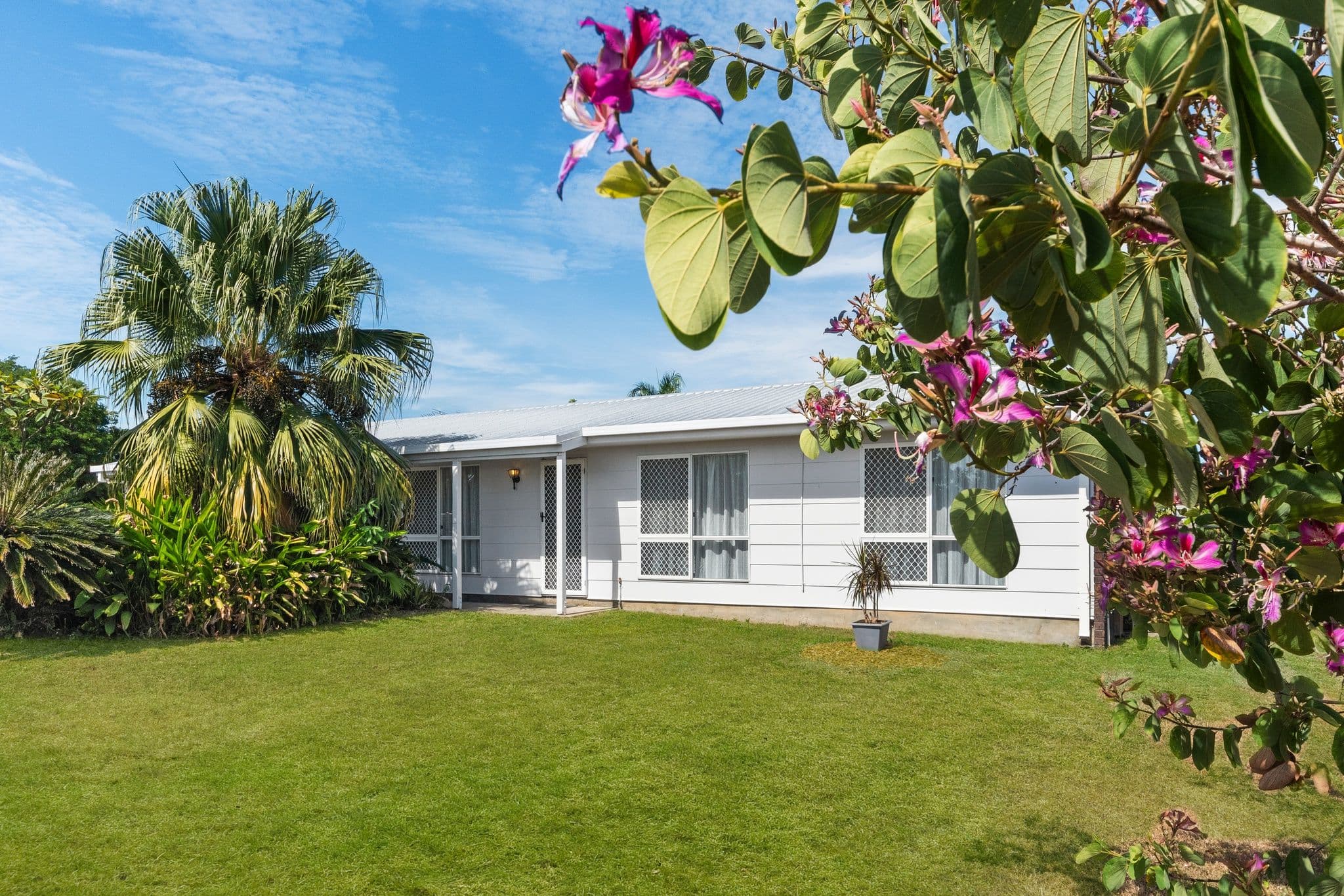 14 Josephine Crescent, Rasmussen QLD 4815, Rasmussen - Image 1