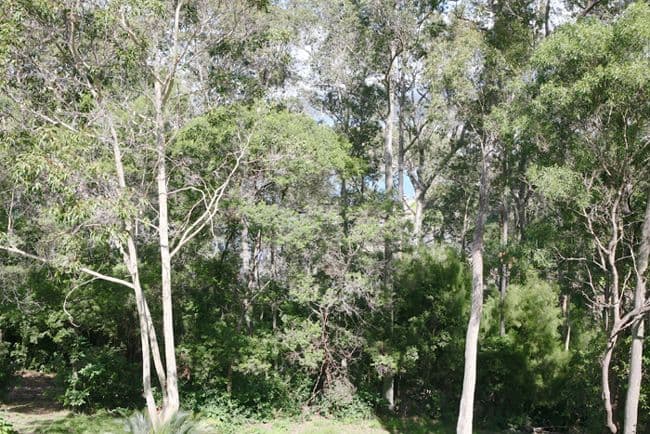 40-48 Williamson Drive, NORTH NAROOMA NSW 2546, North Narooma - Thumbnail 5