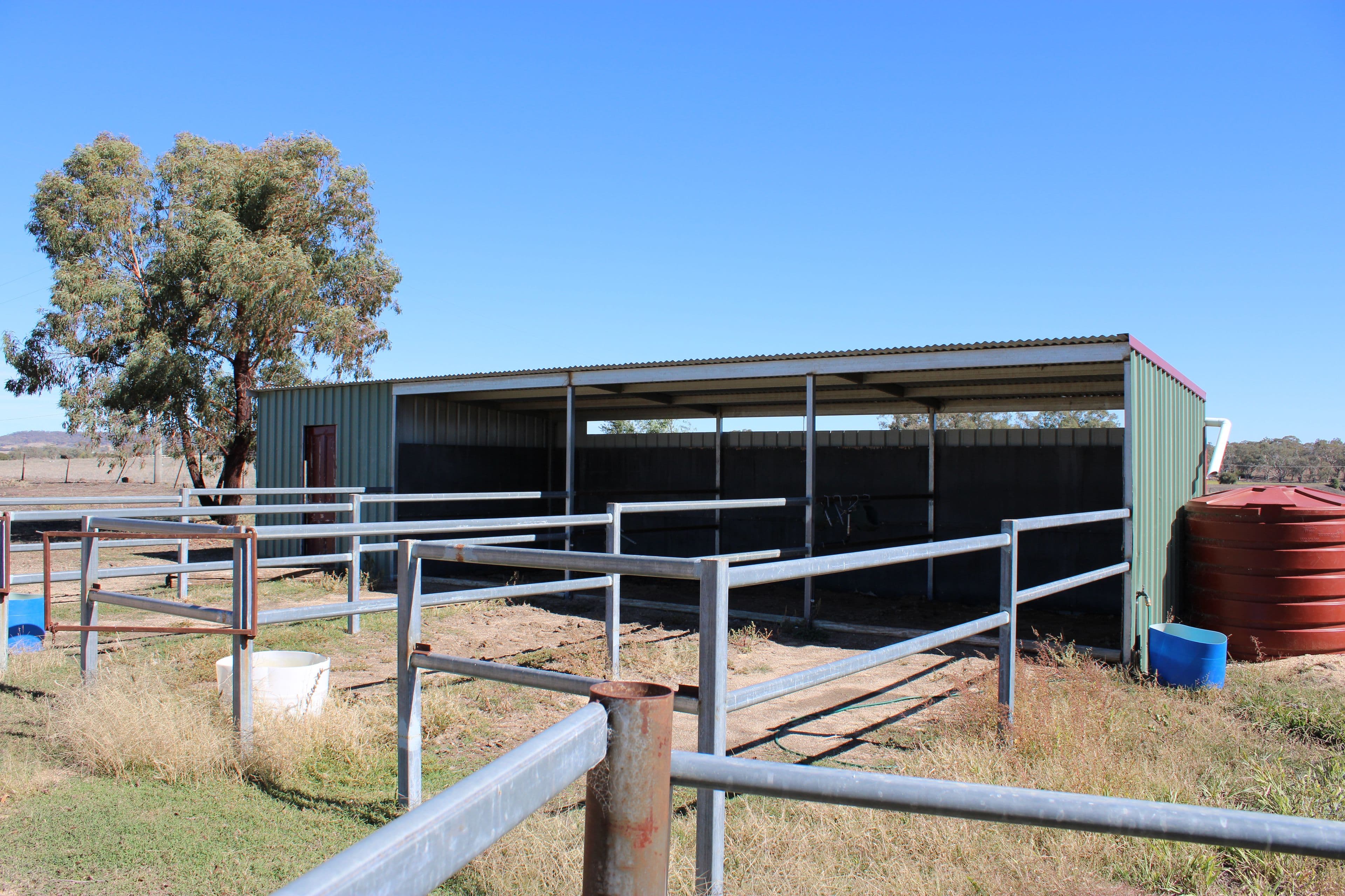 39 Brosnans Lane, Inverell NSW 2360, Inverell - Thumbnail 5
