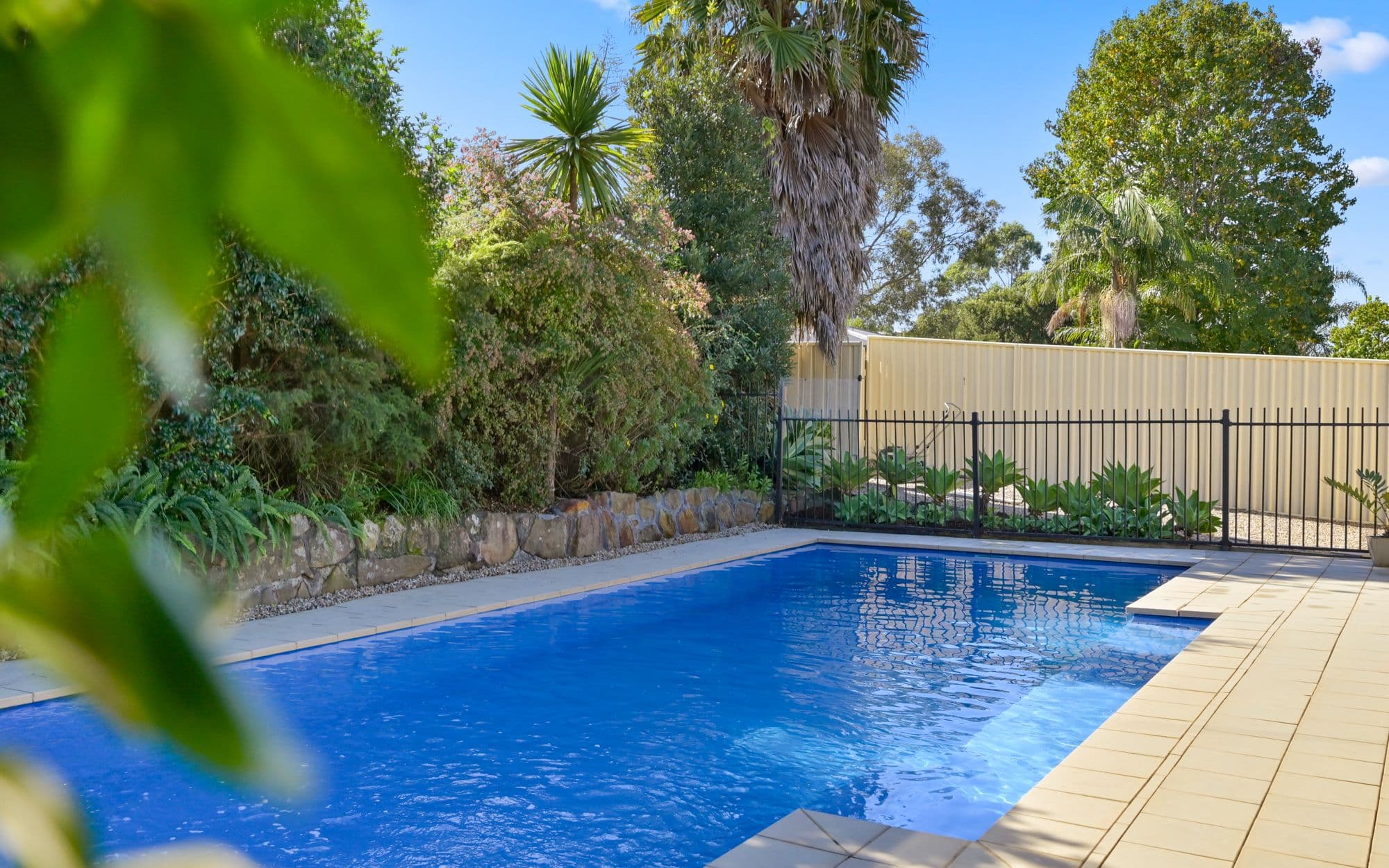 33 Woodcourt Street, Ambarvale NSW 2560, Ambarvale - Thumbnail 4