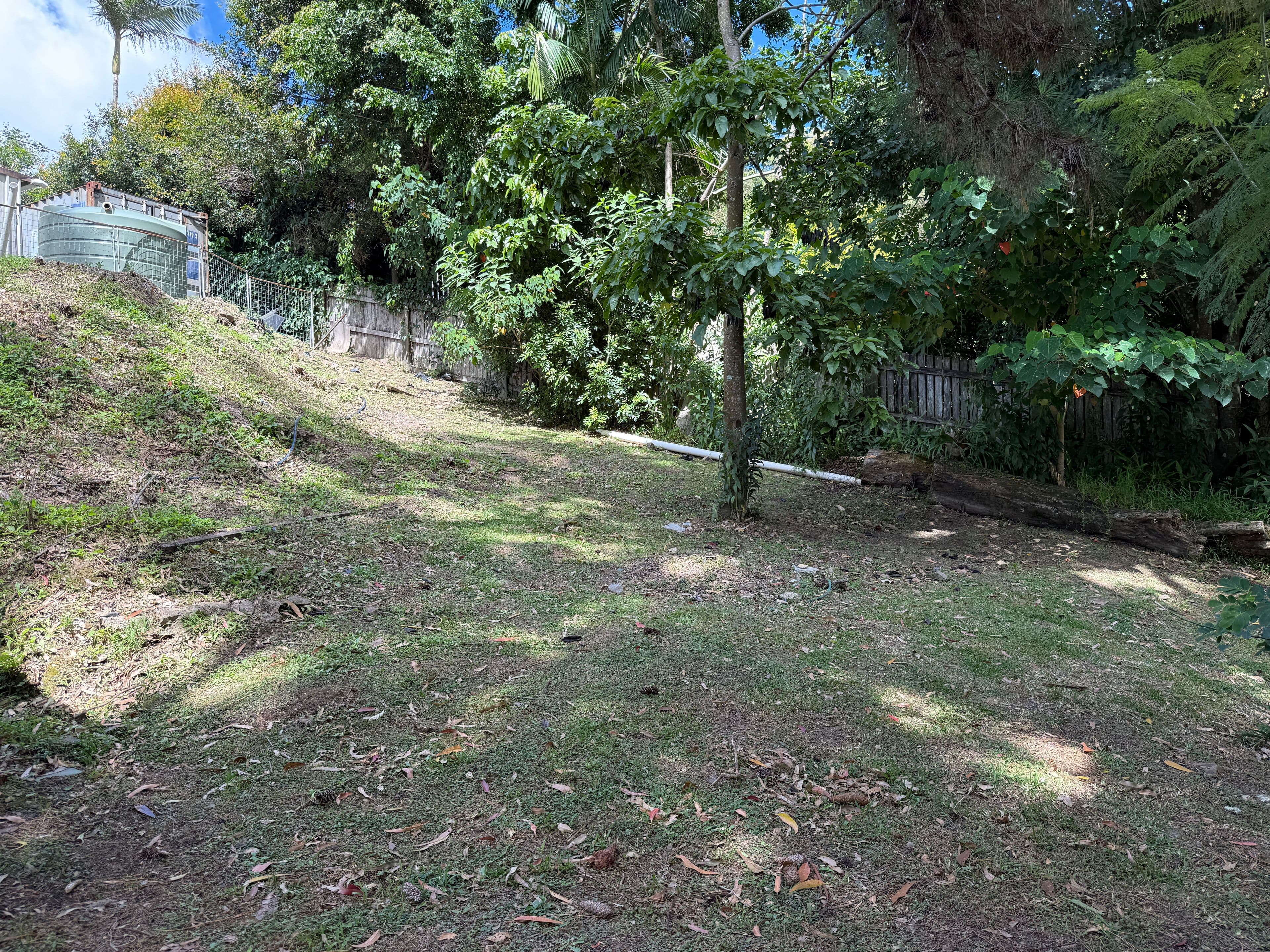 10 Shasta Drive, Tamborine Mountain QLD 4272, Tamborine Mountain - Thumbnail 8