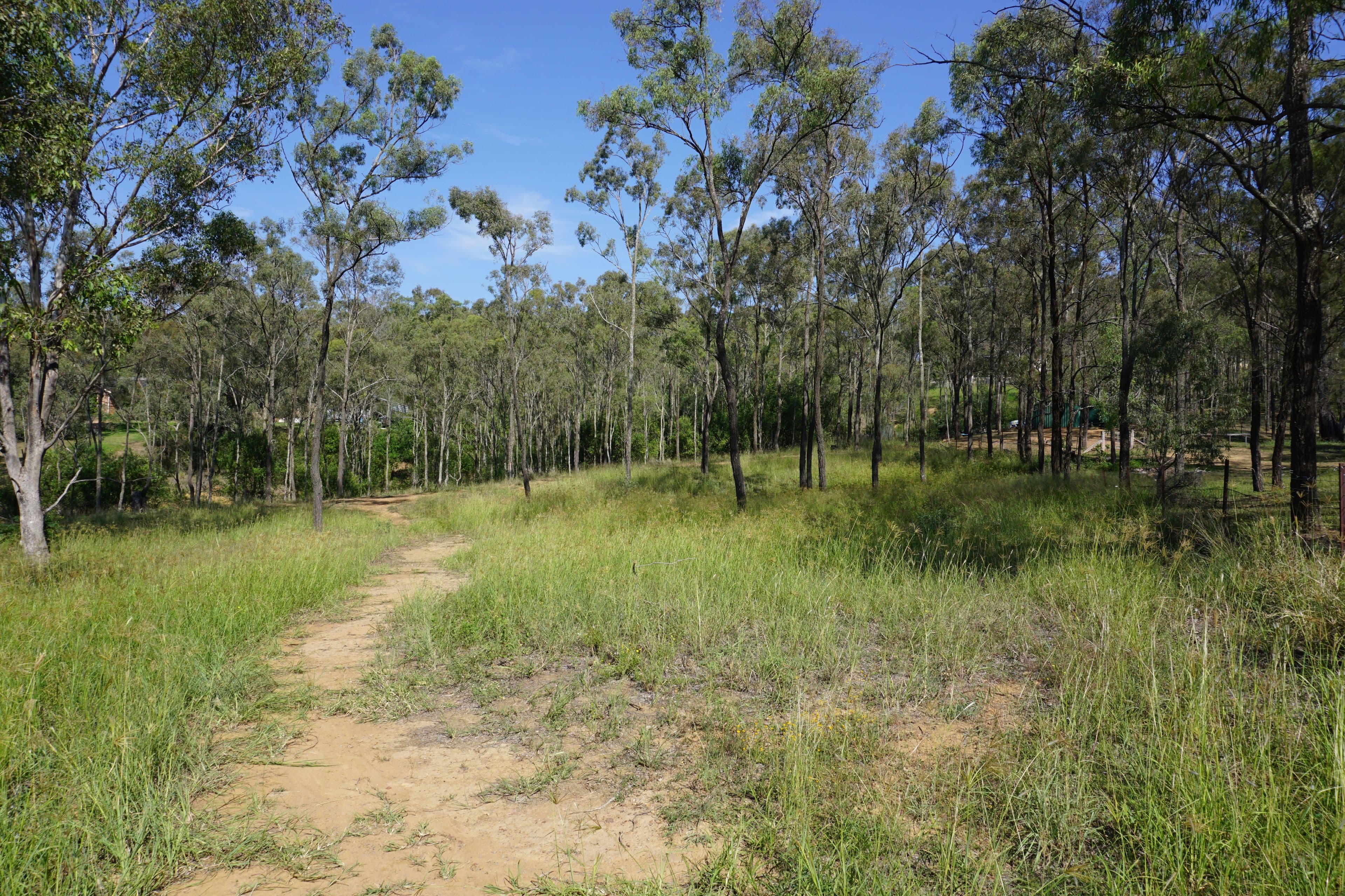 17 The Glade, Singleton NSW 2330, Singleton - Thumbnail 2
