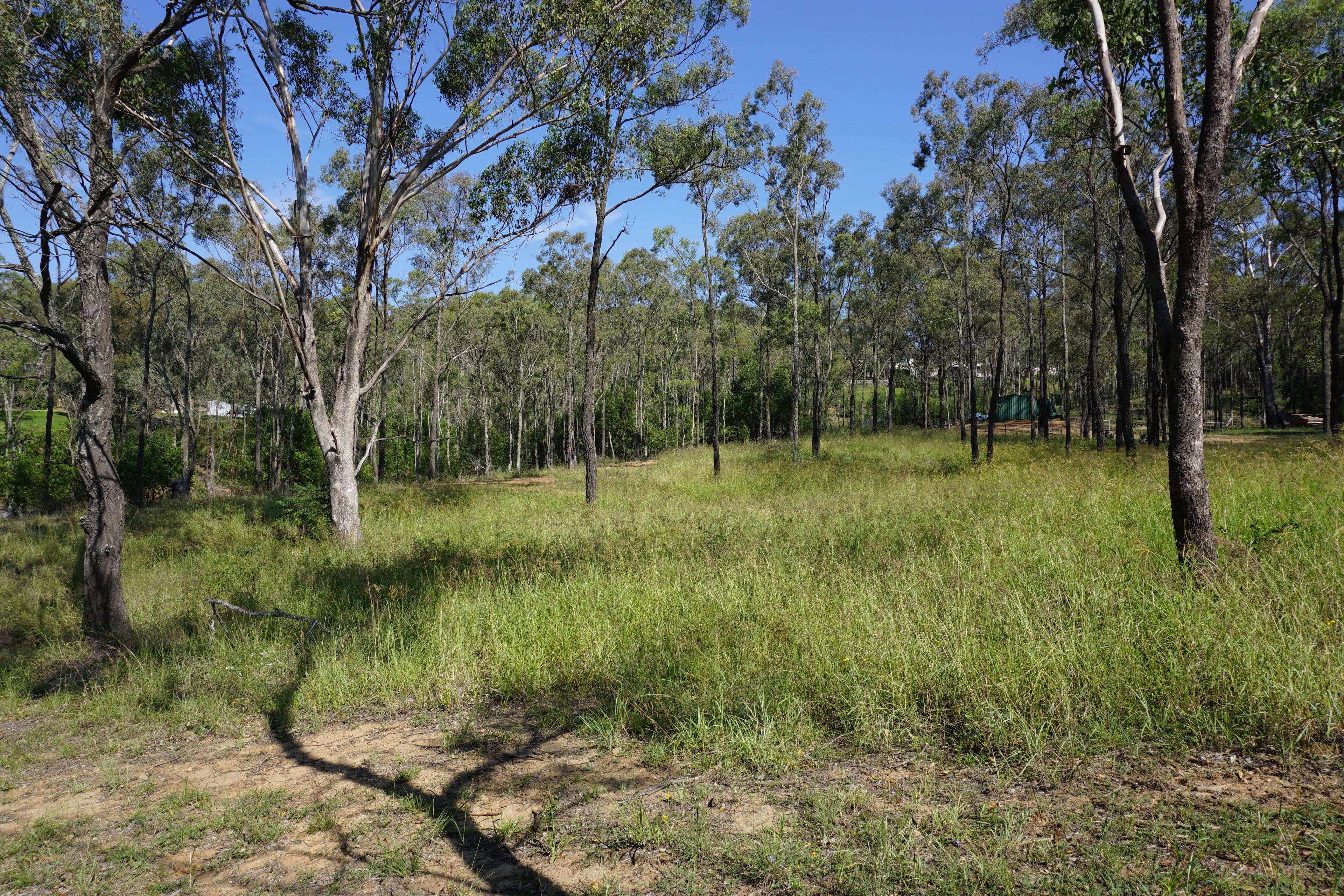 17 The Glade, Singleton NSW 2330, Singleton - Thumbnail 3