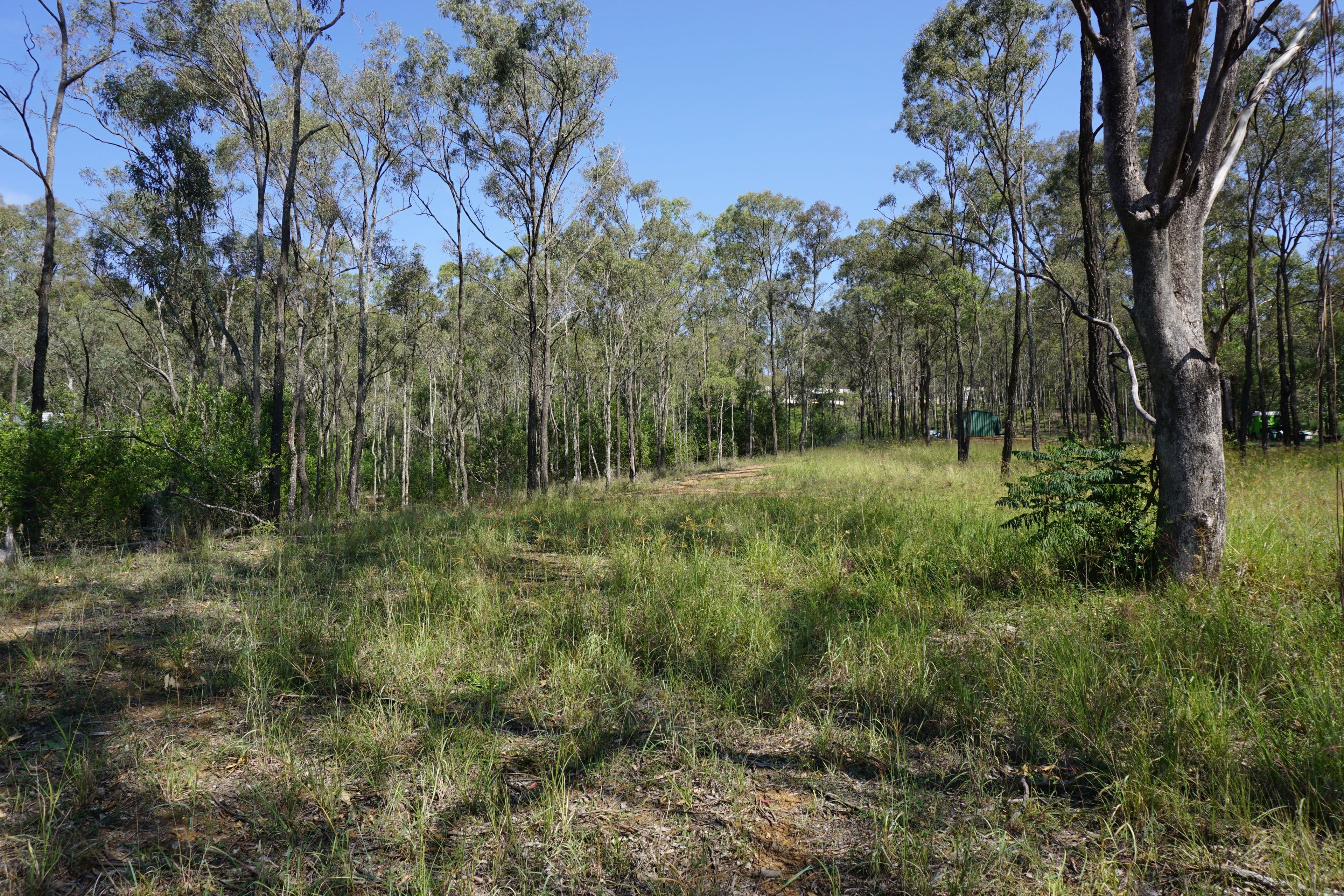 17 The Glade, Singleton NSW 2330, Singleton - Thumbnail 4