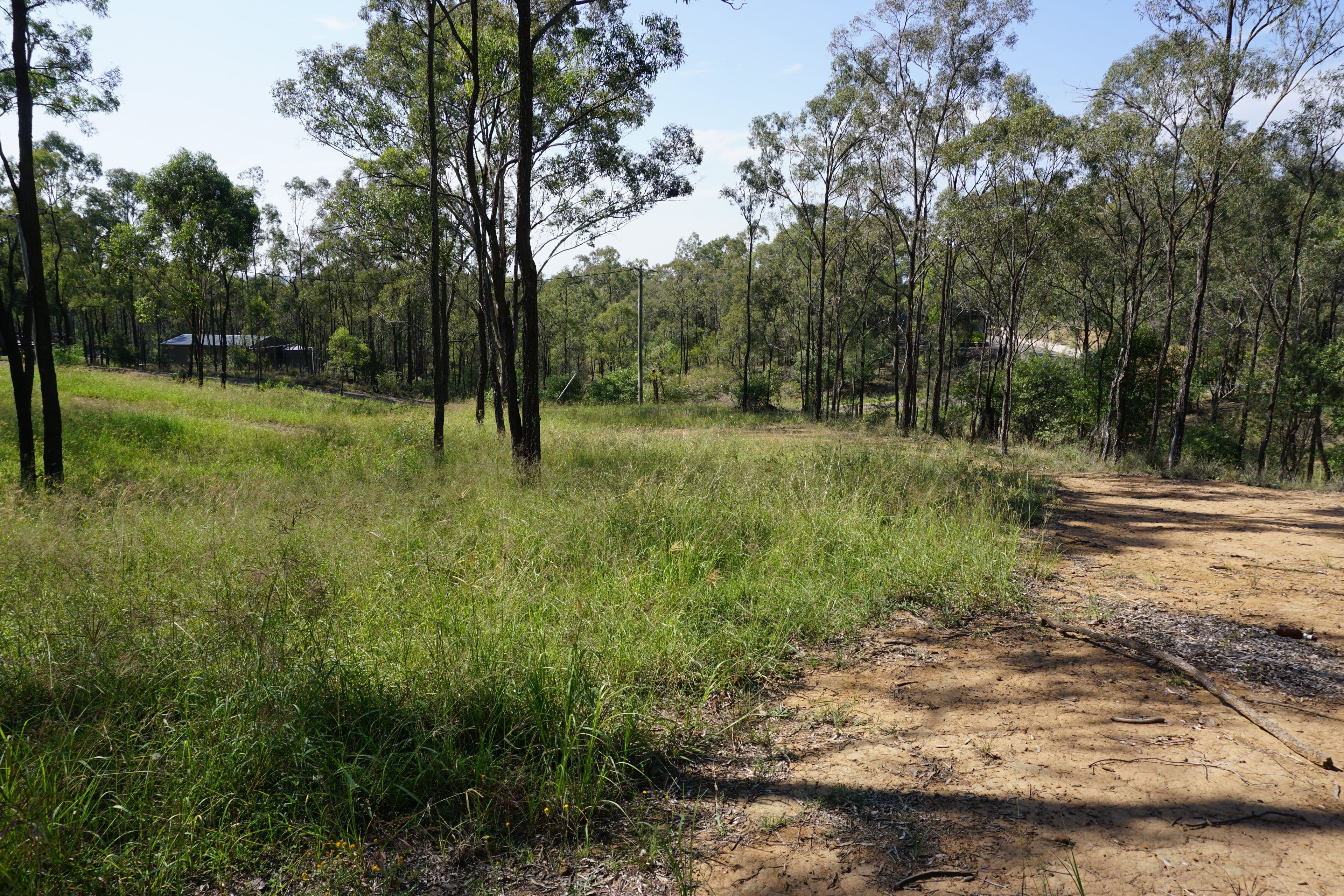 17 The Glade, Singleton NSW 2330, Singleton - Thumbnail 6