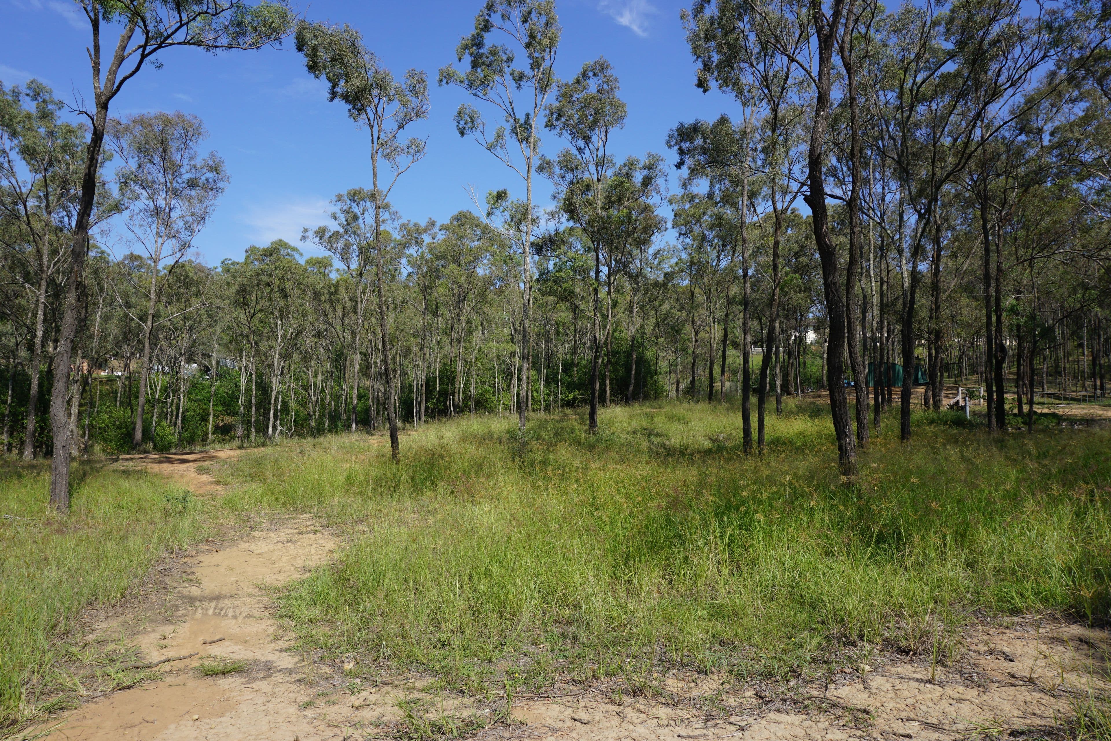 17 The Glade, Singleton NSW 2330, Singleton - Thumbnail 7