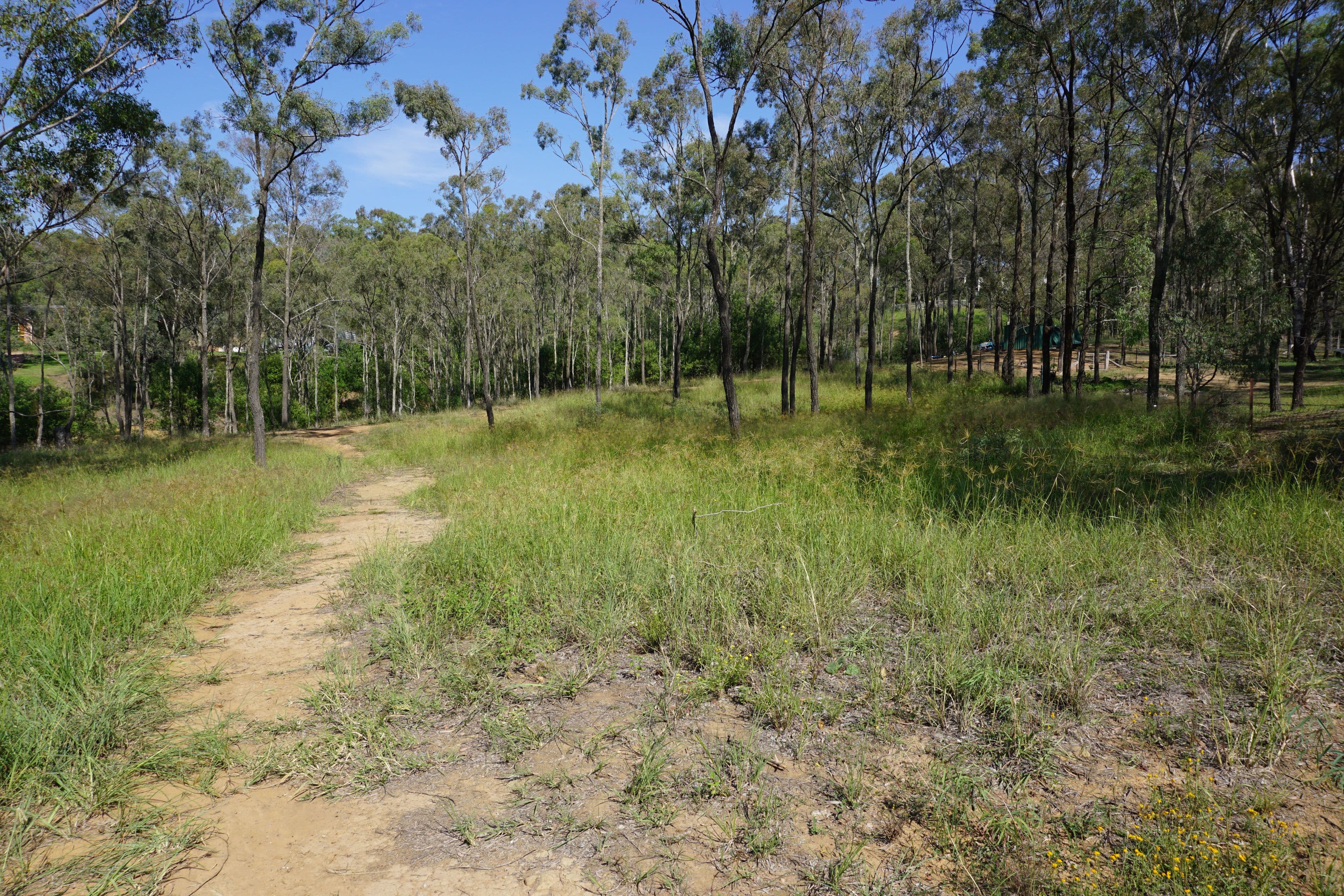 17 The Glade, Singleton NSW 2330, Singleton - Thumbnail 8