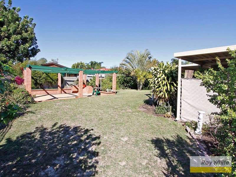 4 Currawong Way, THORNLIE WA 6108, Thornlie - Thumbnail 4