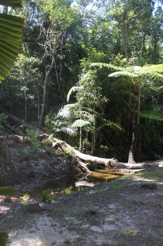 21 Salamone Drive, KURANDA QLD 4881, Kuranda - Thumbnail 7