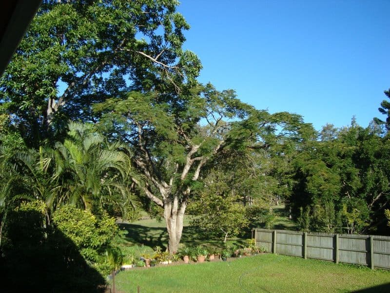 87 York Street, COORPAROO QLD 4151, Coorparoo - Thumbnail 5