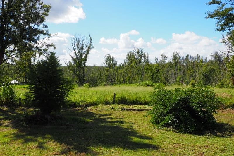 17 Ferry Road, Yengarie QLD 4650, Yengarie - Thumbnail 4