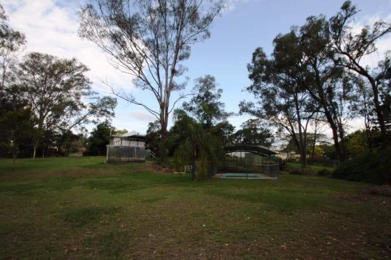 10 George Street, BLACKSTONE QLD 4304, Blackstone - Thumbnail 4