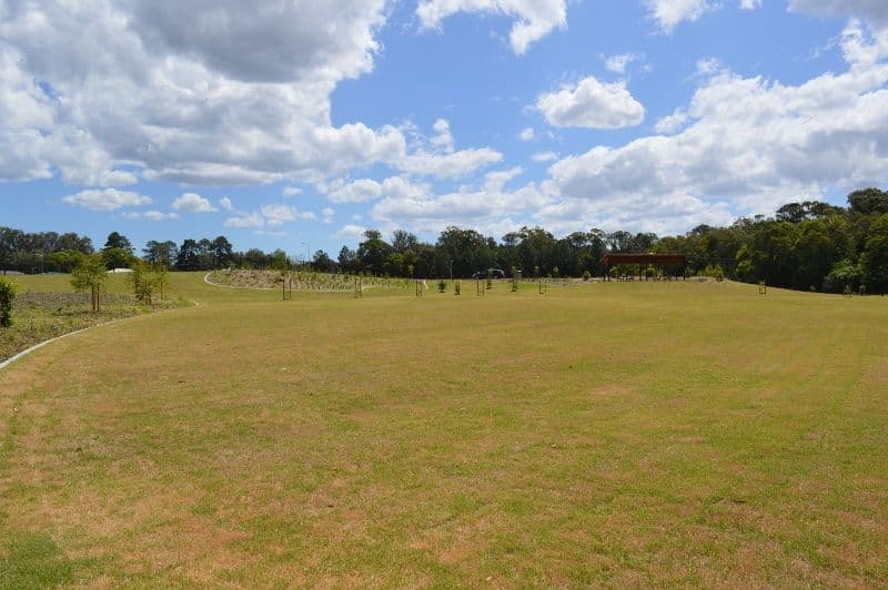 7 Speargrass Court, Beerwah QLD 4519, Beerwah - Thumbnail 3