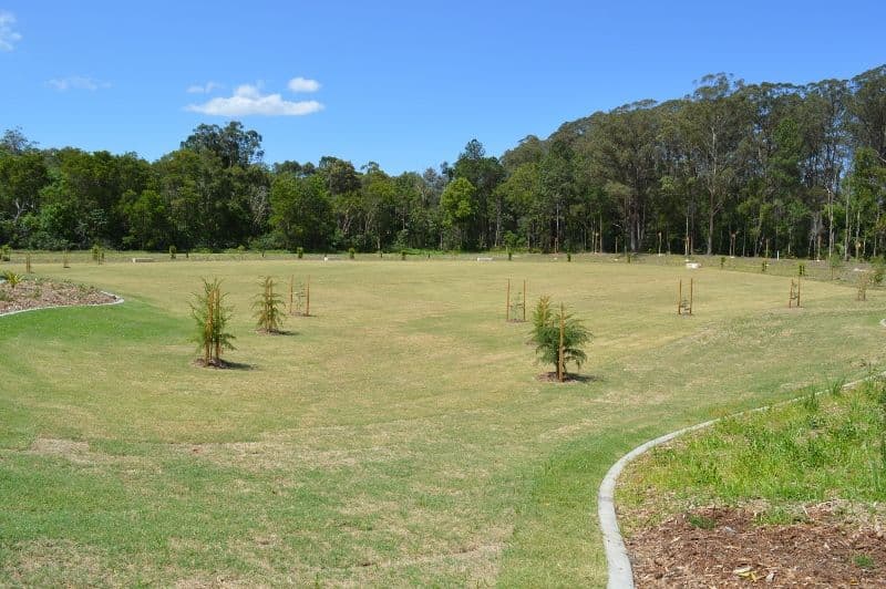 7 Speargrass Court, Beerwah QLD 4519, Beerwah - Thumbnail 4