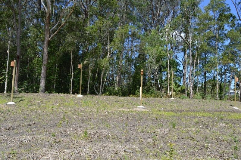 7 Speargrass Court, Beerwah QLD 4519, Beerwah - Thumbnail 5