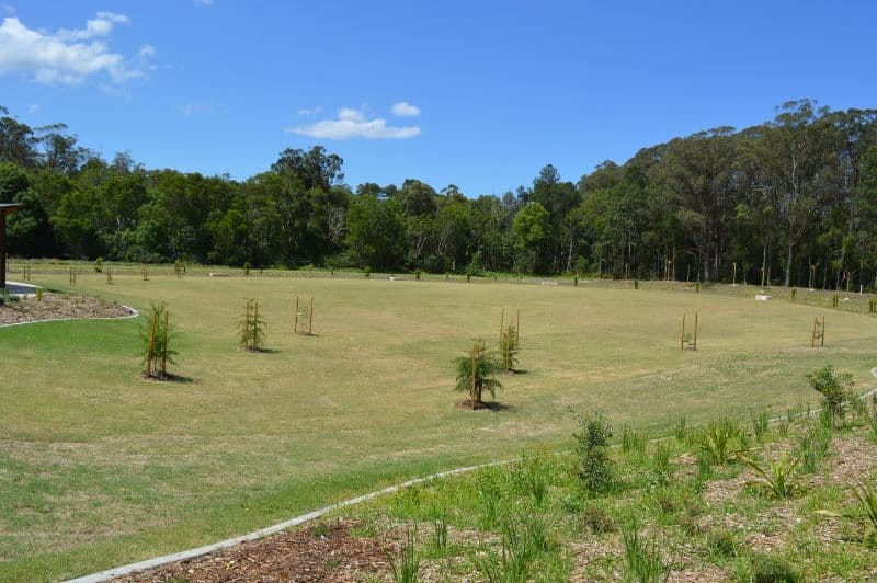 7 Speargrass Court, Beerwah QLD 4519, Beerwah - Thumbnail 6
