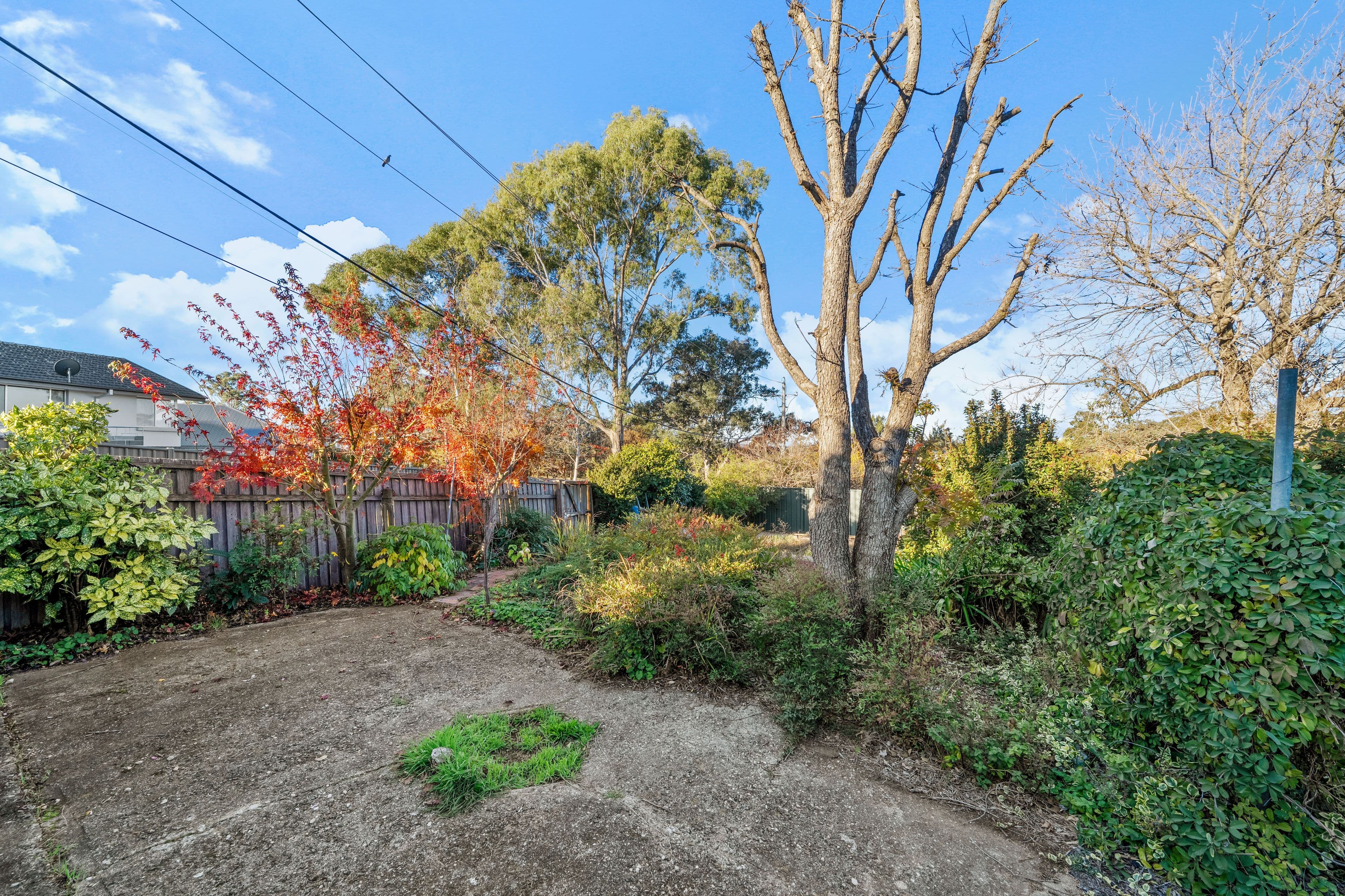 8 Druitt Place, Macquarie ACT 2614, Macquarie - Thumbnail 2