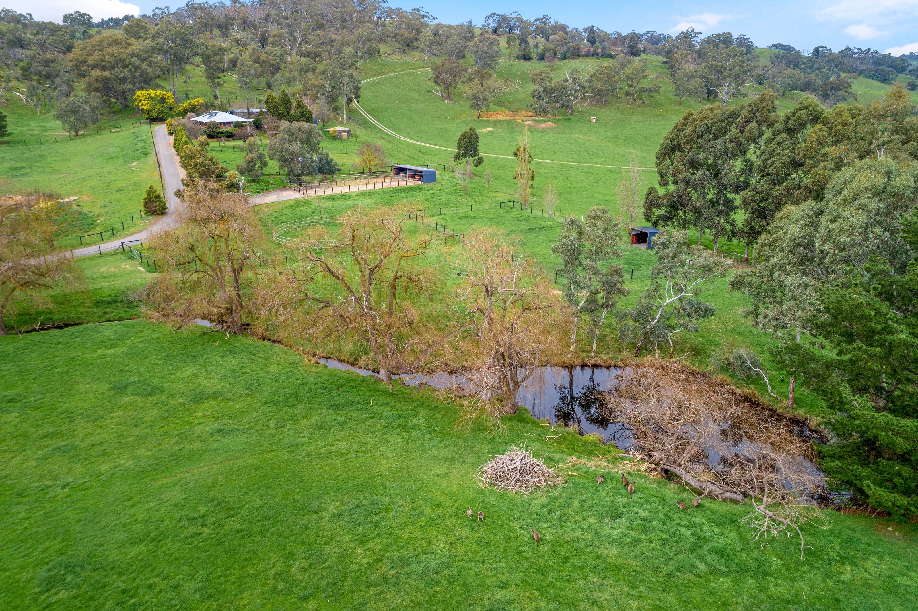 580 Lower Hermitage, Lower Hermitage SA 5131, Lower Hermitage - Thumbnail 4