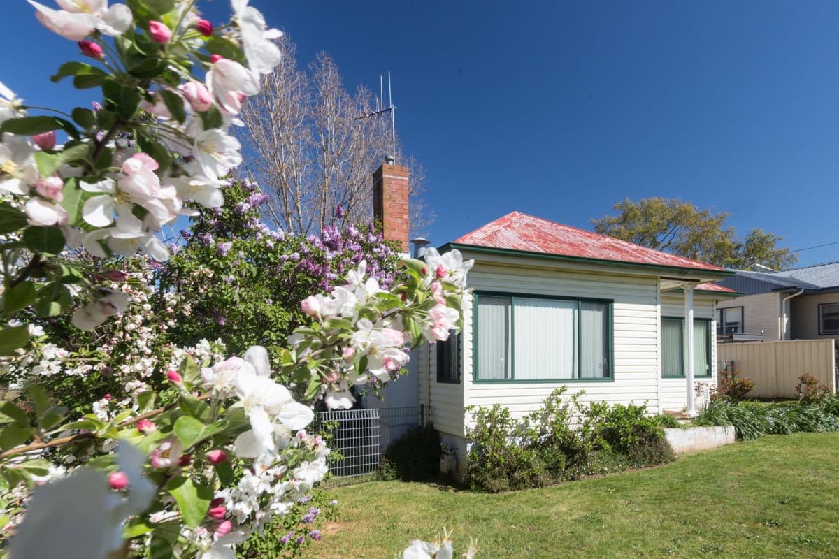 351 Anson Street, Orange - Thumbnail 3