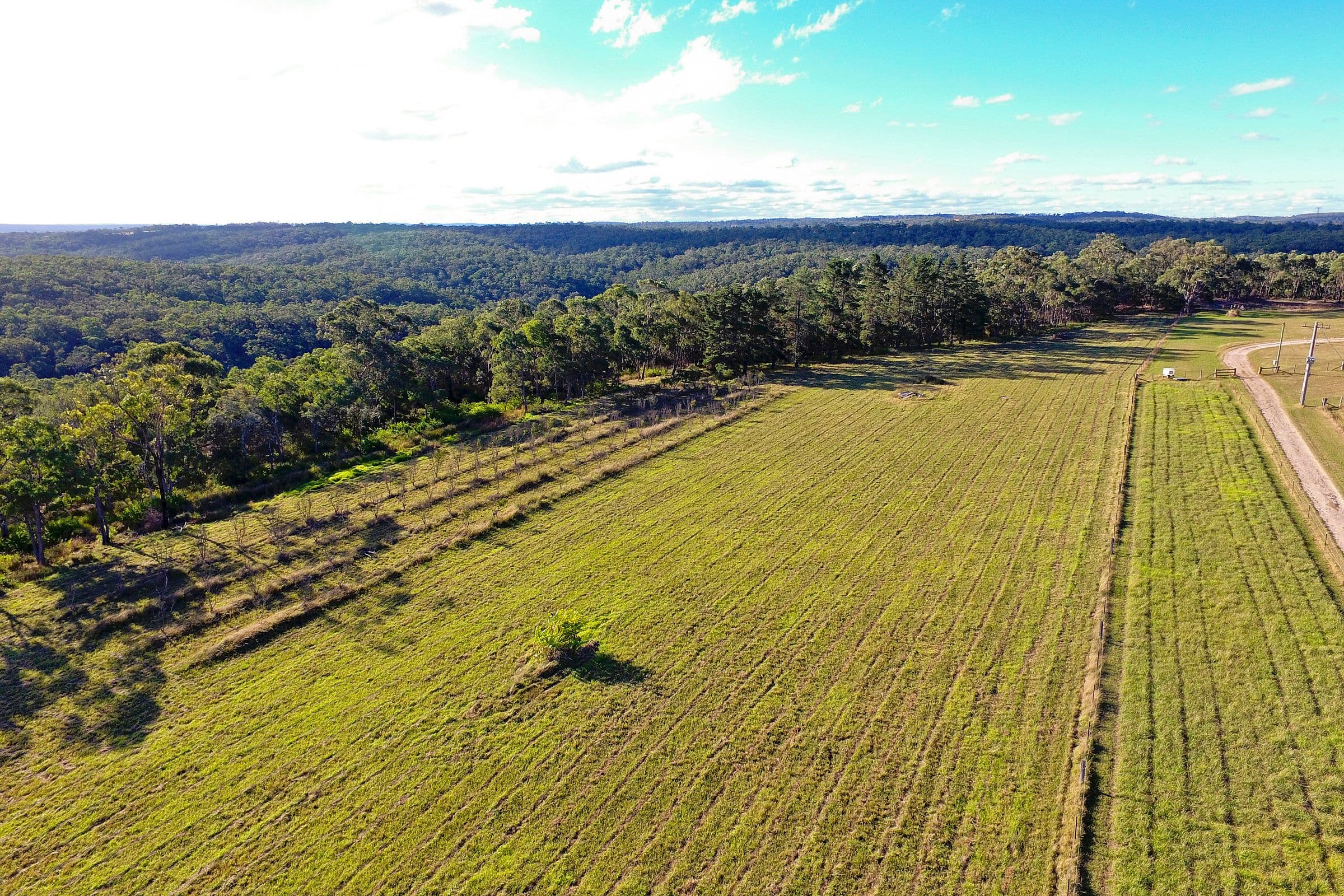 126 Paulls Road, South Maroota NSW 2756, South Maroota - Thumbnail 7