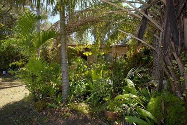 113 Goodwin Drive, BONGAREE QLD 4507, Bongaree - Thumbnail 3