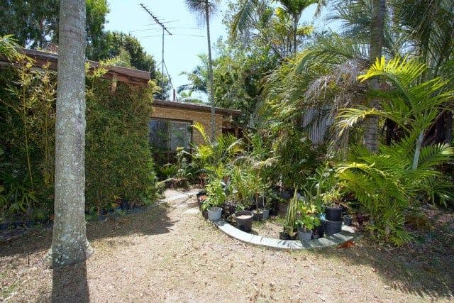113 Goodwin Drive, BONGAREE QLD 4507, Bongaree - Thumbnail 5