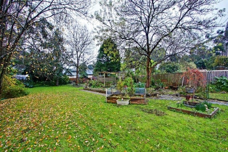 11 ALFRED Street, WANDIN NORTH VIC 3139, Wandin North - Thumbnail 4