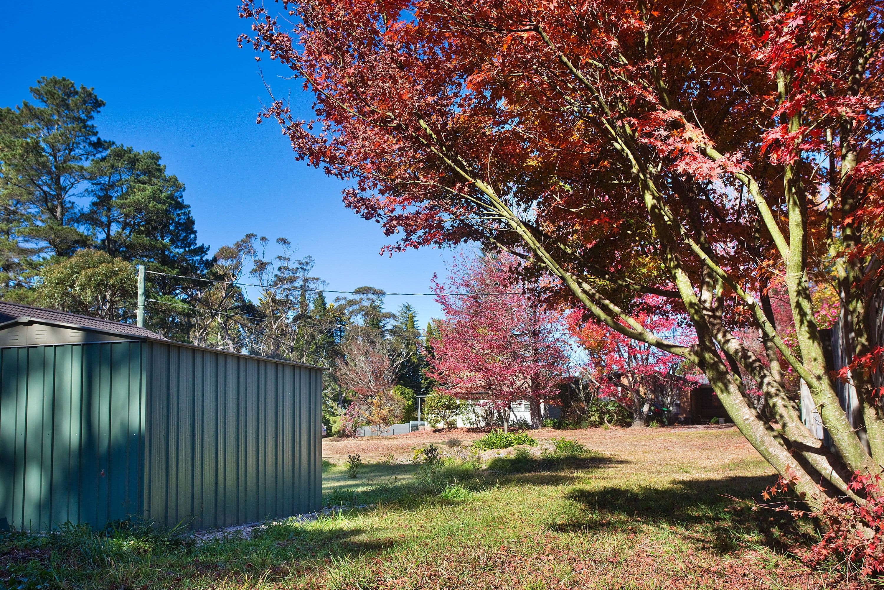 22 Belvidere Avenue, Blackheath NSW 2785, Blackheath - Thumbnail 5
