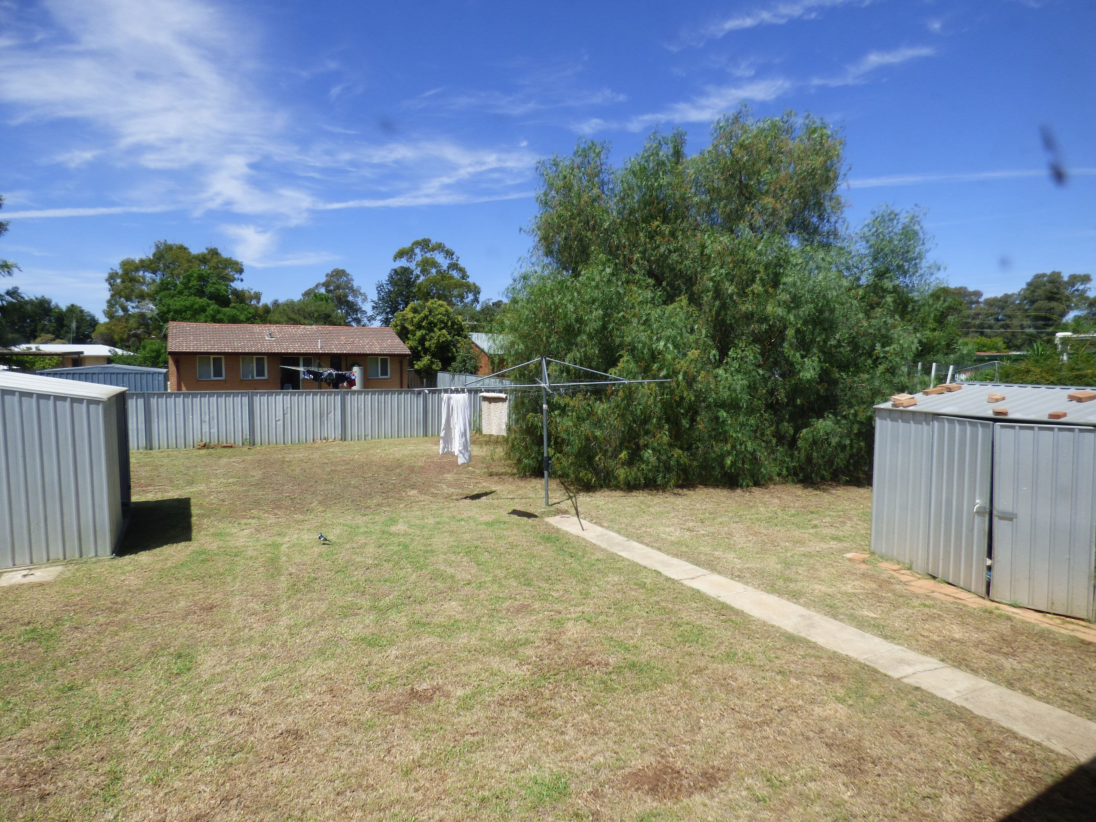 151 York Street, Forbes NSW 2871, Forbes - Thumbnail 8