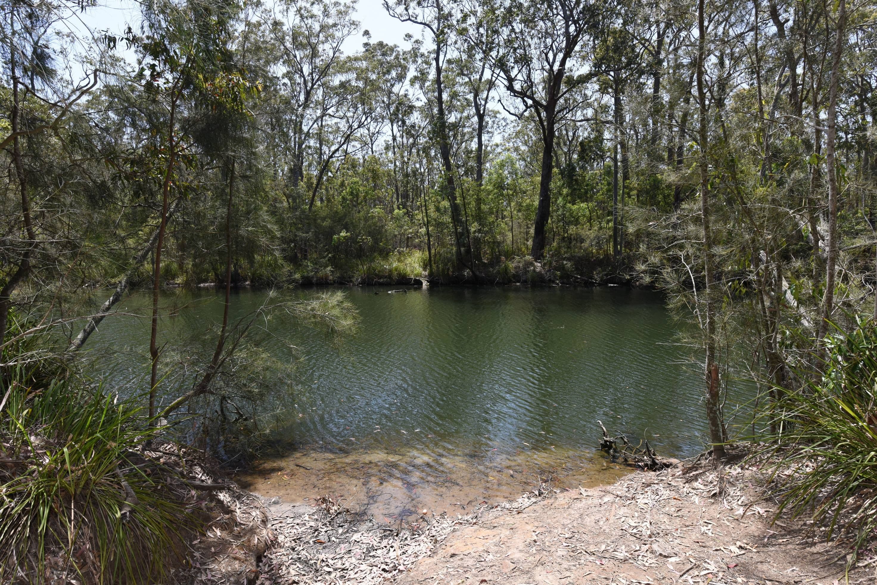 331 The Park Drive, Sanctuary Point NSW 2540, Sanctuary Point - Image 1