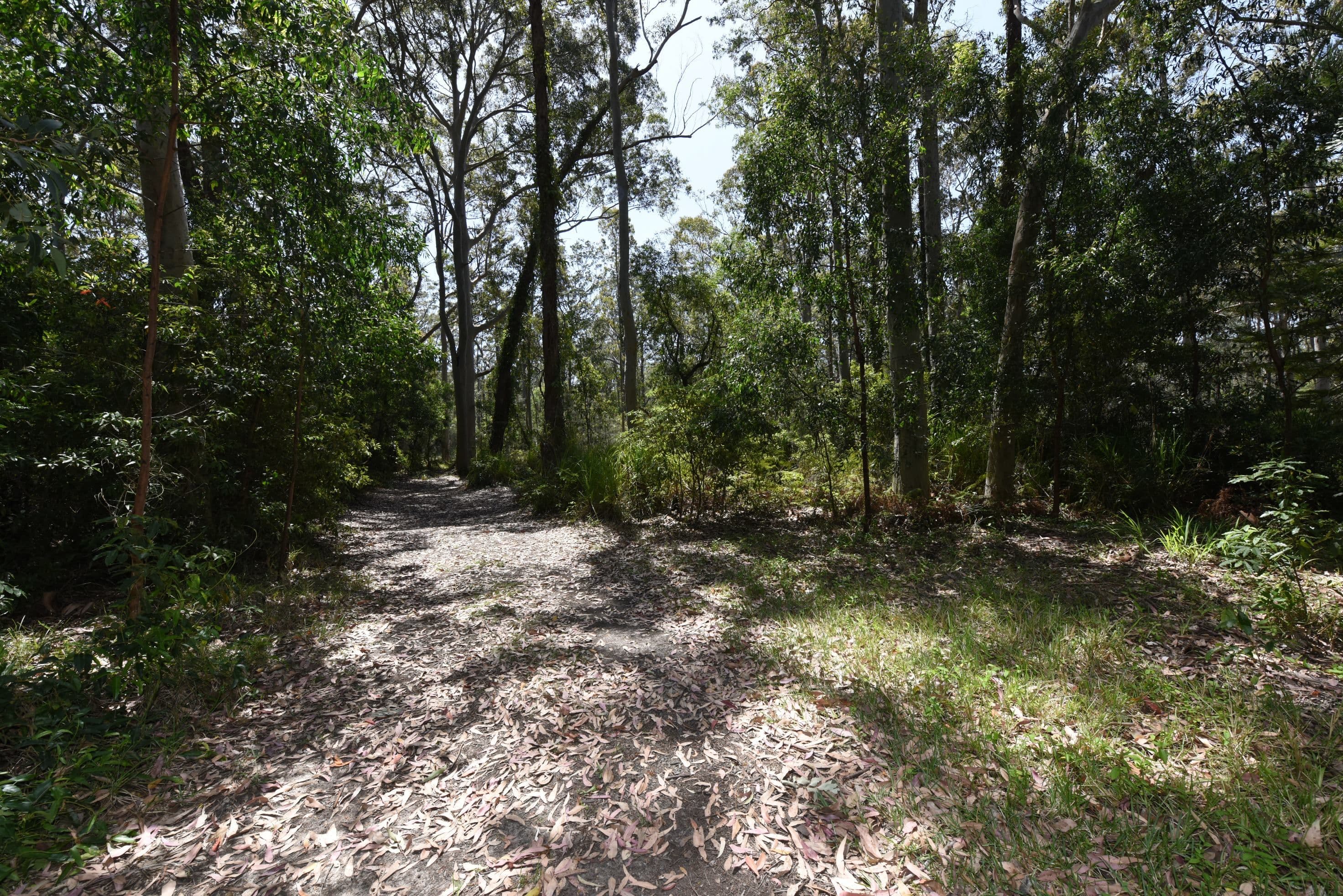 331 The Park Drive, Sanctuary Point NSW 2540, Sanctuary Point - Thumbnail 3