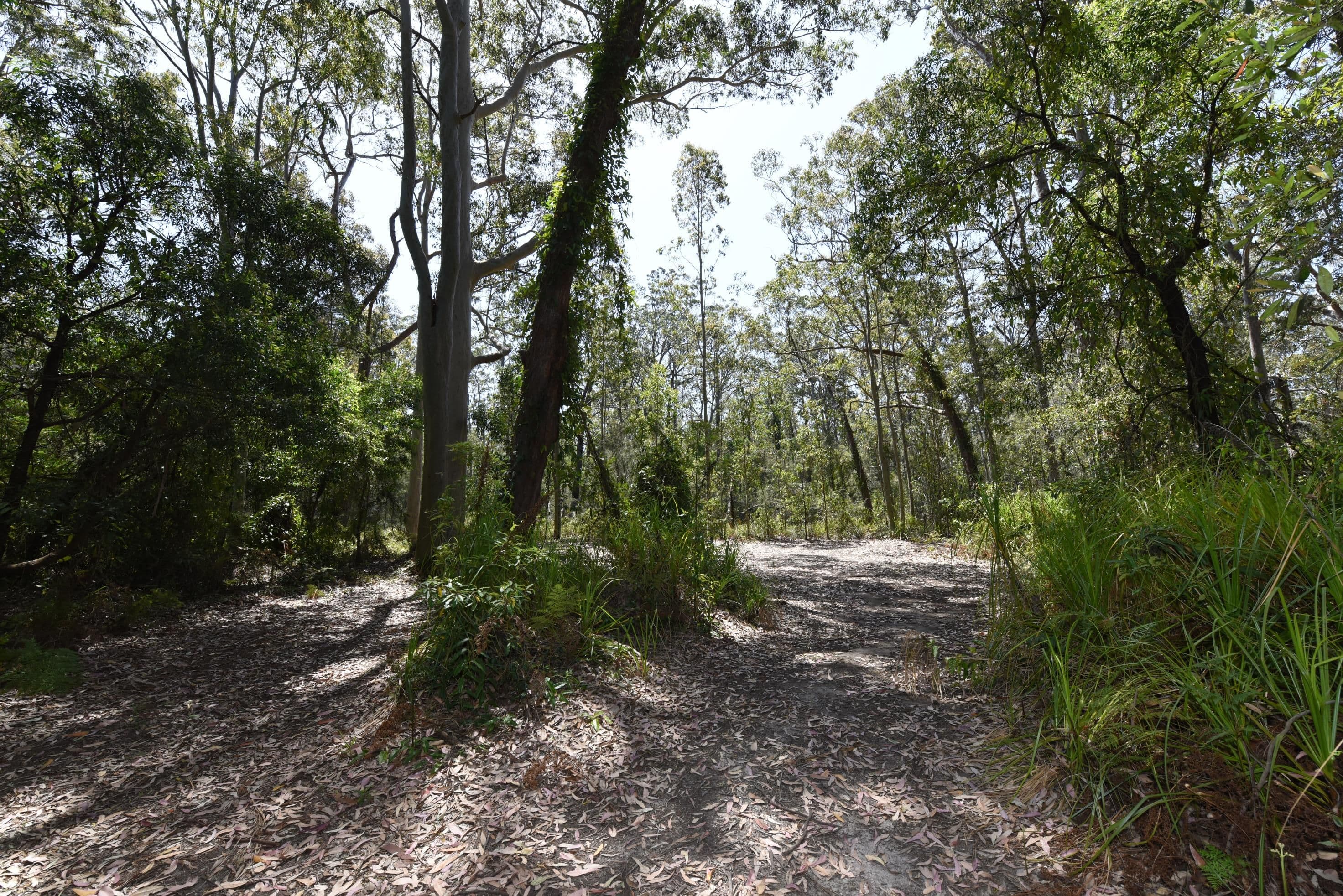 331 The Park Drive, Sanctuary Point NSW 2540, Sanctuary Point - Thumbnail 4