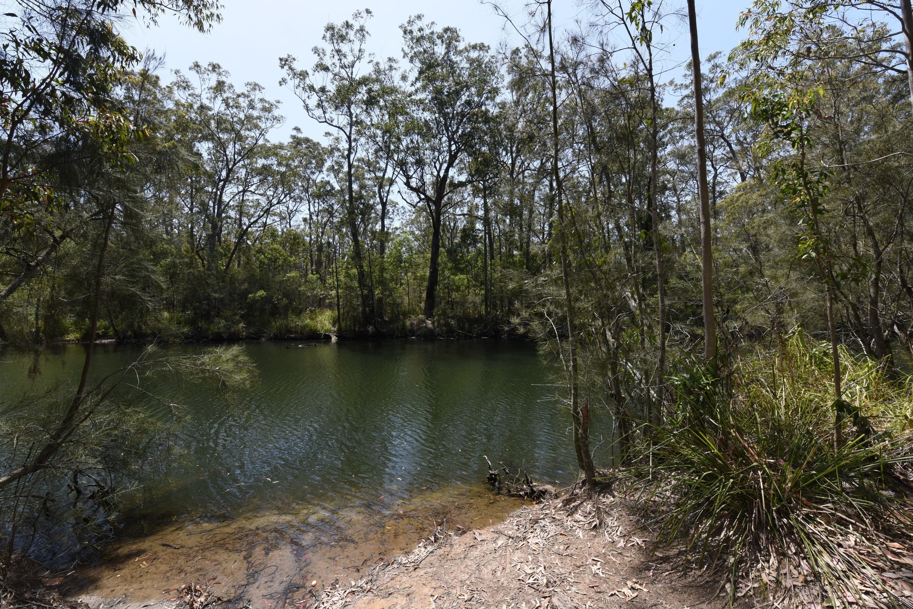 331 The Park Drive, Sanctuary Point NSW 2540, Sanctuary Point - Thumbnail 5