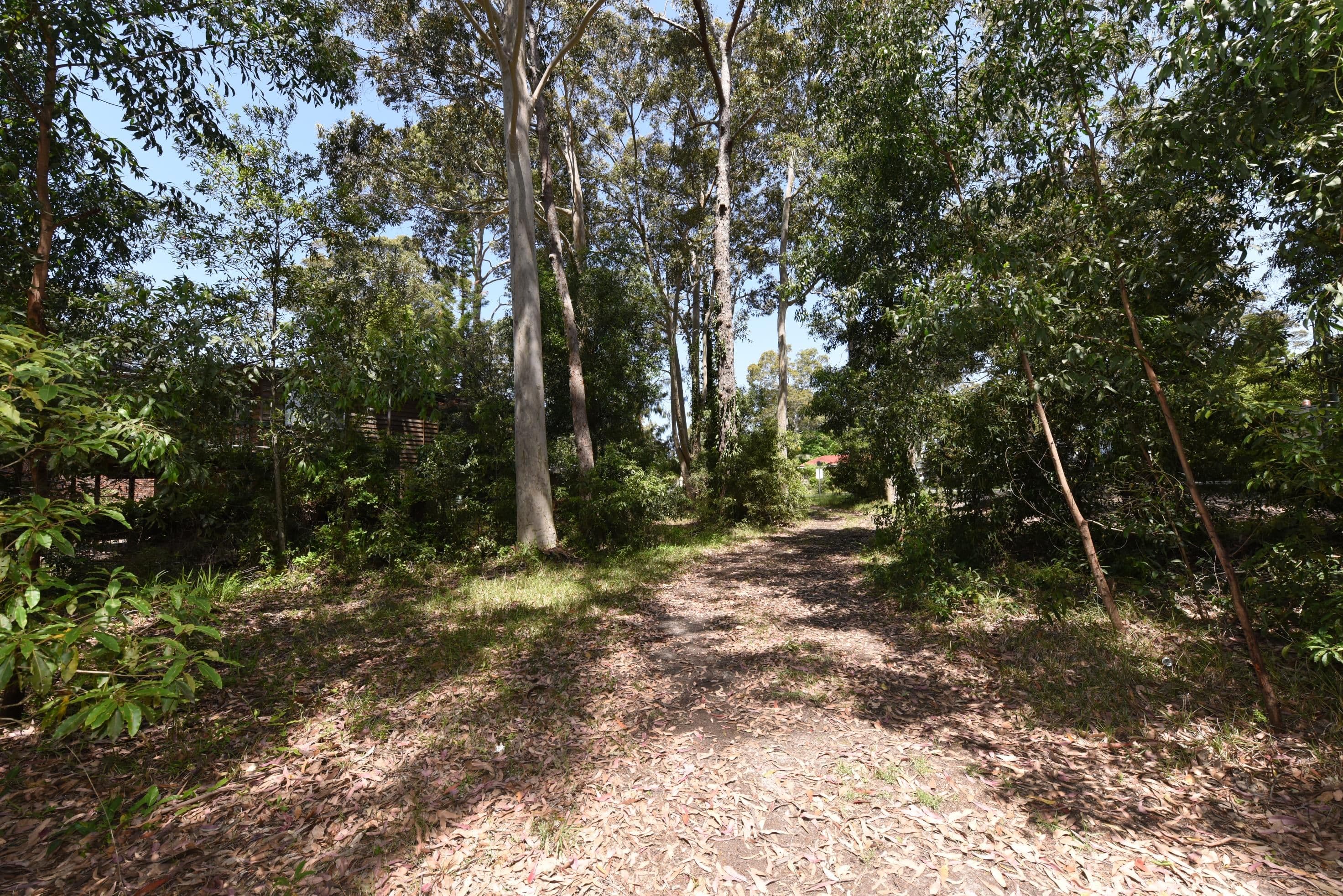 331 The Park Drive, Sanctuary Point NSW 2540, Sanctuary Point - Thumbnail 7