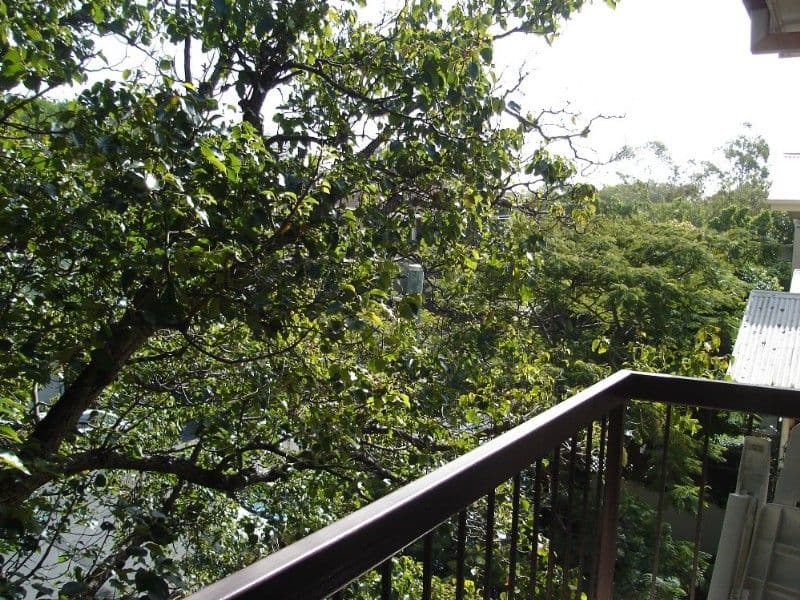 36 Lucinda Street, TARINGA QLD 4068, Taringa - Thumbnail 6
