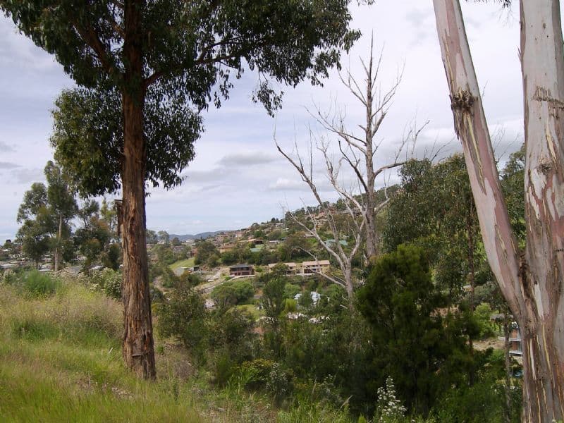 21 Lowrie Place, GLENORCHY TAS 7010, Glenorchy - Thumbnail 2