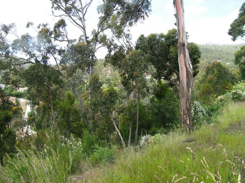 21 Lowrie Place, GLENORCHY TAS 7010, Glenorchy - Thumbnail 3