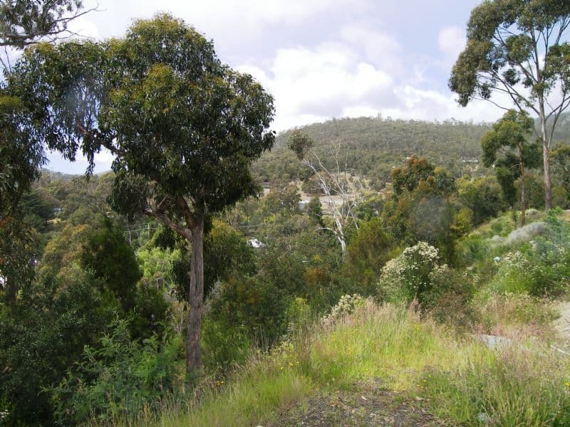 21 Lowrie Place, GLENORCHY TAS 7010, Glenorchy - Thumbnail 4