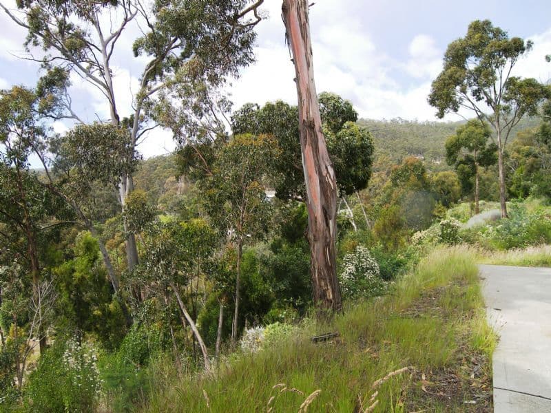 21 Lowrie Place, GLENORCHY TAS 7010, Glenorchy - Thumbnail 5