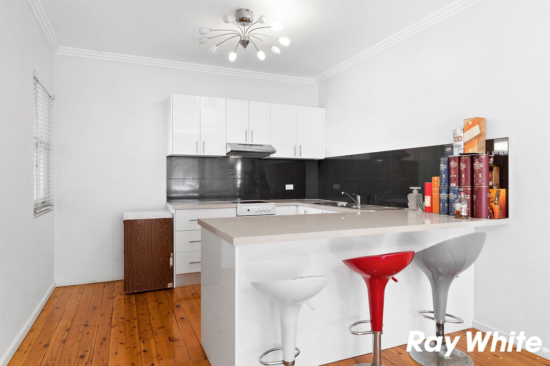 37 Balfour Street, Allawah NSW 2218, Allawah - Image 1