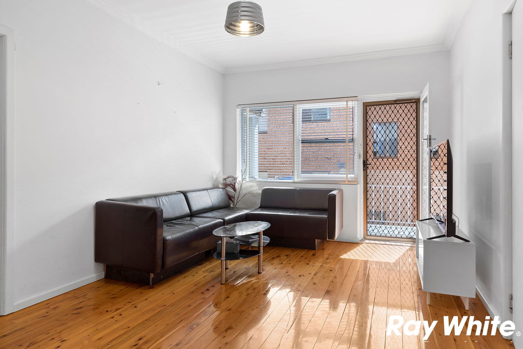 37 Balfour Street, Allawah NSW 2218, Allawah - Thumbnail 3