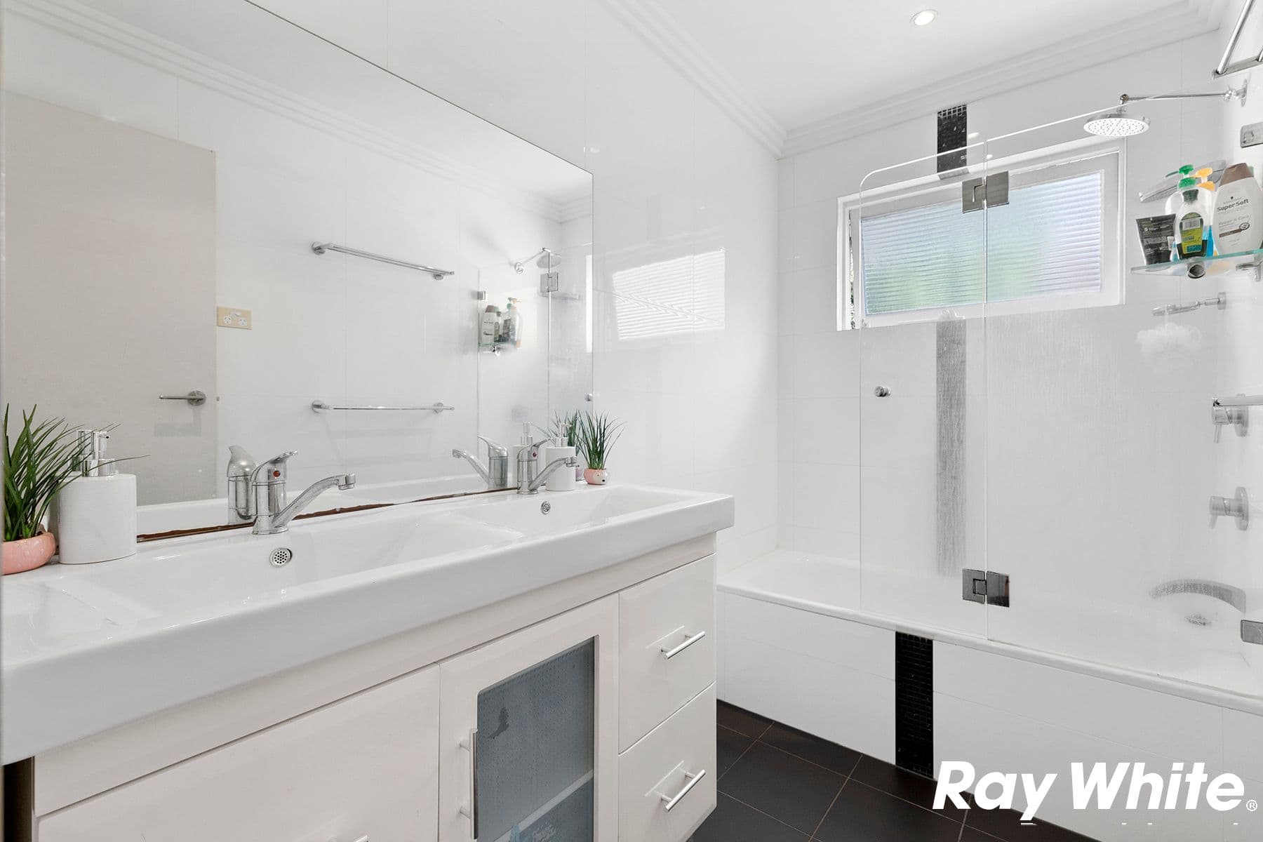 37 Balfour Street, Allawah NSW 2218, Allawah - Thumbnail 4