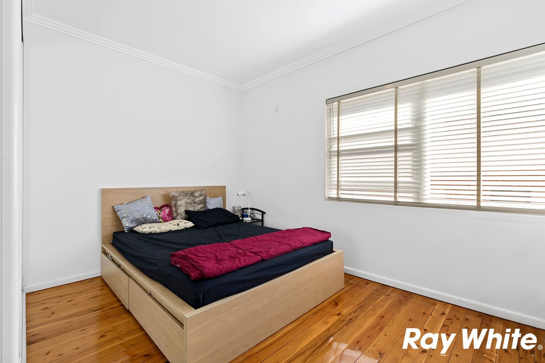 37 Balfour Street, Allawah NSW 2218, Allawah - Thumbnail 5