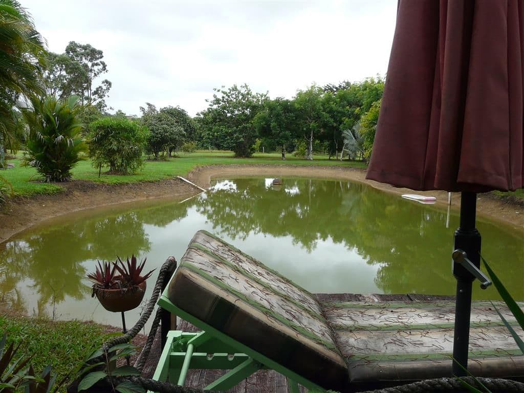 94 Francis Road, Utchee Creek QLD 4871, Utchee Creek - Thumbnail 4