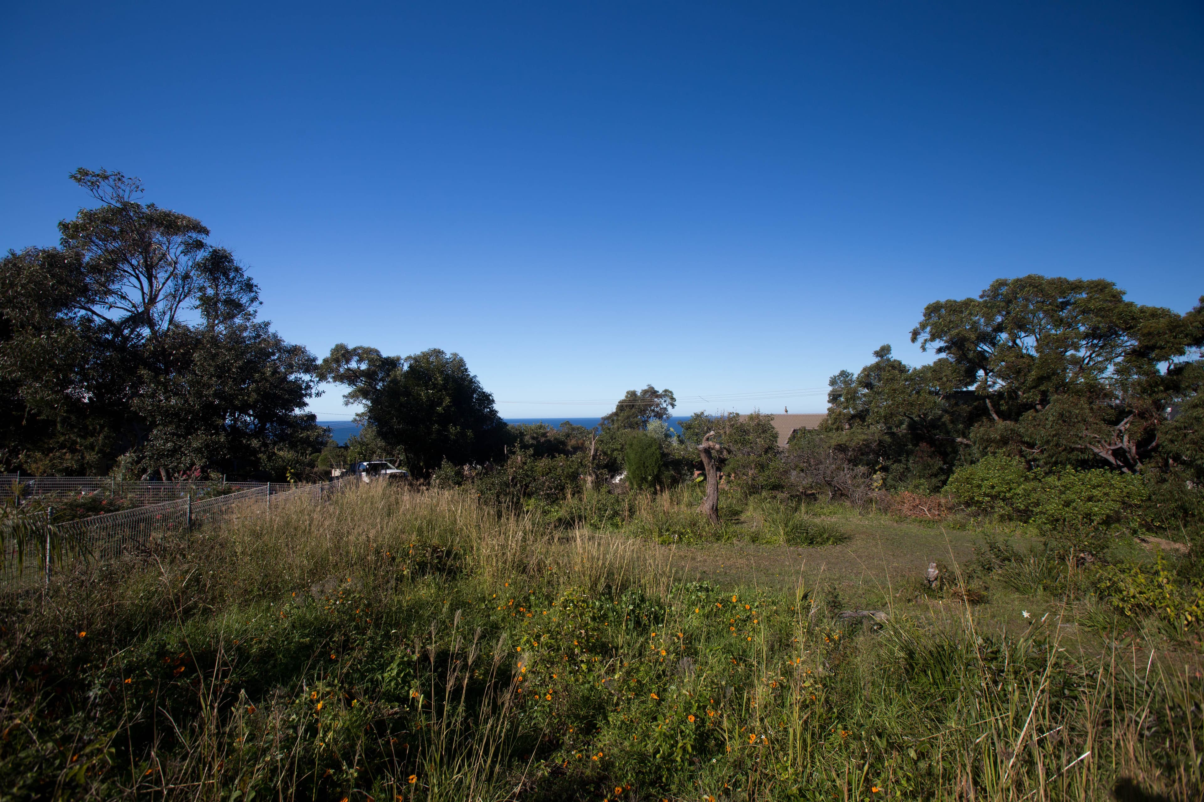 3 Macdonald Street, Killcare Heights NSW 2257, Killcare Heights - Thumbnail 3