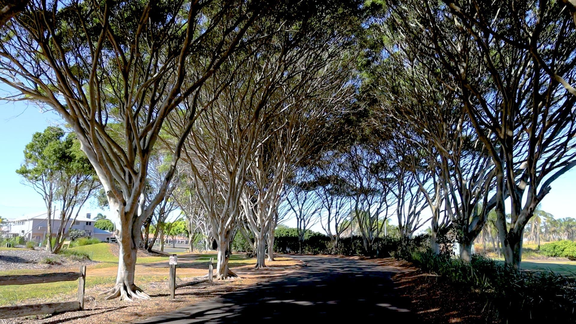 Lot 71 Chantelle Circuit, Coral Cove QLD 4670, Coral Cove - Thumbnail 5
