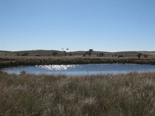 Lot 11 Roseview Estate, TARAGO NSW 2580, Tarago - Image 1