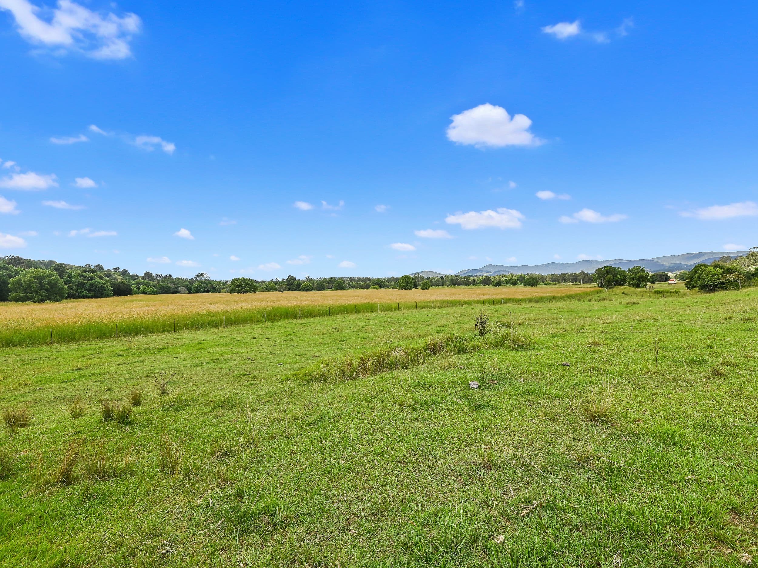 Lot 5 Strong Road, Dayboro QLD 4521, Dayboro - Thumbnail 7